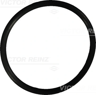 Seal Ring